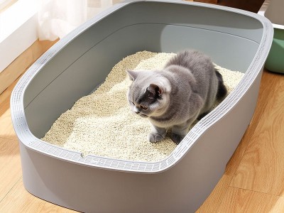 大號(hào)貓砂盆注塑